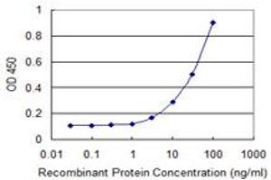 Detection limit for recombinant GST tagged ZFYVE16 is 1 ng/ml as a capture antibody. (ZFYVE16 Antikörper  (AA 1-100))
