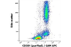 Flow cytometry surface staining pattern of human peripheral whole blood stained using anti-human CD354 (6B1) purified antibody (concentration in sample 1,67 μg/mL, GAM APC). (TREM1 Antikörper)
