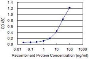 ELISA image for anti-Polymerase (RNA) II (DNA Directed) Polypeptide C, 33kDa (POLR2C) (AA 1-275) antibody (ABIN519027)