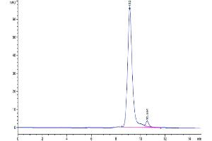 The purity of Cynomolgus PLAU is greater than 95 % as determined by SEC-HPLC. (PLAU Protein (AA 21-430) (His tag))