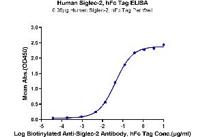ELISA image for CD22 Molecule (CD22) (AA 20-687) protein (Fc Tag) (ABIN7275595)