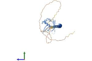 Protein Structure (PS) image for X-Ray Repair Complementing Defective Repair in Chinese Hamster Cells 4 (XRCC4) (AA 1-336) protein (His tag) (ABIN7545171)
