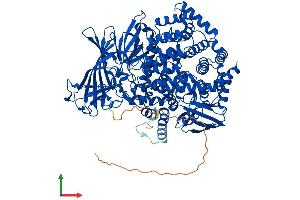 Protein Structure (PS) image for Endoplasmic Reticulum Aminopeptidase 2 (ERAP2) (AA 1-960) protein (His tag) (ABIN7553856)