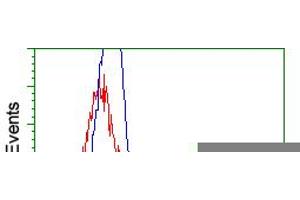 HEK293T cells transfected with either pCMV6-ENTRY RNF144B (RC209302) (Red) or empty vector control plasmid (Blue) were immunostained with anti-RNF144B mouse monoclonal (ABIN2453610), and then analyzed by flow cytometry. (RNF144B Antikörper  (AA 1-256))