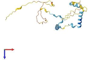 MEA1 Protein (AA 1-185) (His tag)