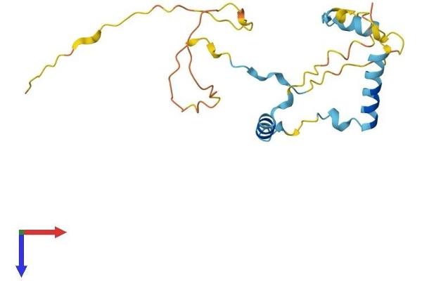 MEA1 Protein (AA 1-185) (His tag)