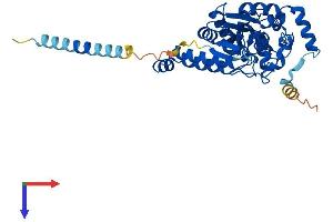 TPST2 Protein (AA 1-376) (His tag)