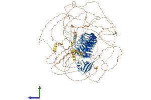 AlphaFold protein structure predicition of Human Recombinant ERBIN Protein, UniprotID Q96RT1