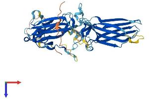 beta Arrestin 1 Protein (AA 1-418) (His tag)