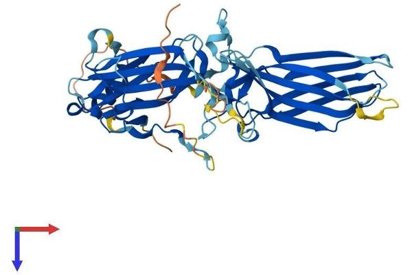 beta Arrestin 1 Protein (AA 1-418) (His tag)