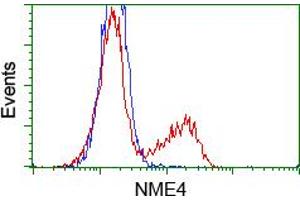 Flow Cytometry (FACS) image for anti-NME/NM23 Nucleoside Diphosphate Kinase 4 (NME4) antibody (ABIN1499778) (NME4 Antikörper)