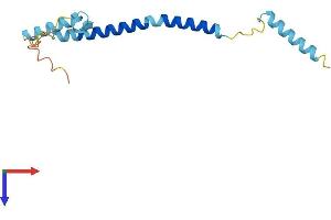 FAM107A Protein (AA 1-144) (His tag)