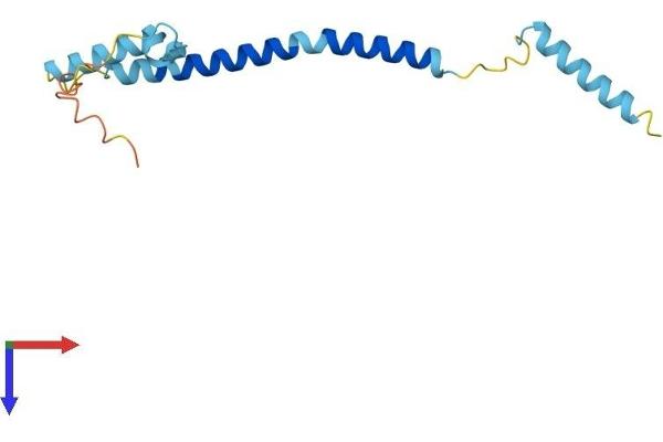FAM107A Protein (AA 1-144) (His tag)