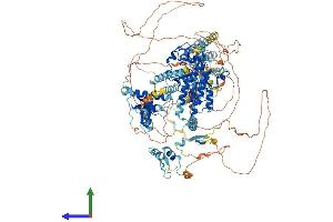Protein Structure (PS) image for Bromodomain and PHD Finger Containing, 1 (BRPF1) (AA 1-1214) protein (His tag) (ABIN7552708)