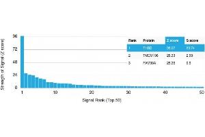 Analysis of Protein Array containing >19,000 full-length human proteins using Thrombomodulin Recombinant Mouse Monoclonal Antibody (rTHBD/1591) Z- and S- Score: The Z-score represents the strength of a signal that a monoclonal antibody (MAb) (in combination with a fluorescently-tagged anti-IgG secondary antibody) produces when binding to a particular protein on the HuProtTM array. (Rekombinanter Thrombomodulin Antikörper  (AA 69-194))