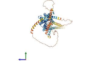 Protein Structure (PS) image for G Protein-Coupled Receptor 161 (GPR161) (AA 1-529) protein (His tag) (ABIN7554018)