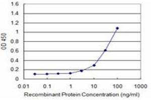 Detection limit for recombinant GST tagged ATF3 is approximately 3ng/ml as a capture antibody. (ATF3 Antikörper  (AA 1-181))