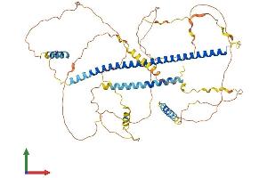 Protein Structure (PS) image for Histone Deacetylase 9 (HDAC9) (AA 1-588) protein (His tag) (ABIN7564911)