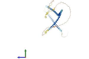 Protein Structure (PS) image for Coiled-Coil Domain Containing 83 (CCDC83) (AA 1-413) protein (His tag) (ABIN7553047)
