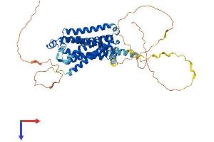 ADRB1 Protein (AA 1-477) (His tag)
