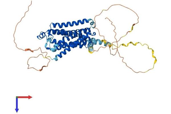 ADRB1 Protein (AA 1-477) (His tag)