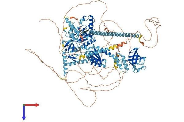 EIF5B Protein (AA 1-1220) (His tag)