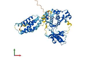 Protein Structure (PS) image for Mixed Lineage Kinase Domain-Like (MLKL) (AA 1-472) protein (His tag) (ABIN7560928)