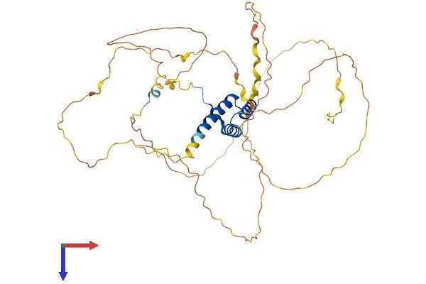 HOXB3 Protein (AA 1-433) (His tag)