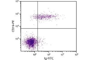 Flow Cytometry (FACS) image for Goat anti-Human Ig antibody (FITC) (ABIN376127)