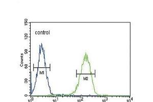 CACNA2D4 Antibody (N-term) (ABIN651895 and ABIN2840441) flow cytometric analysis of K562 cells (right histogram) compared to a negative control cell (left histogram).