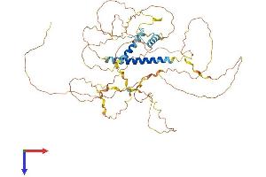 FAM149B1 Protein (AA 1-578) (His tag)
