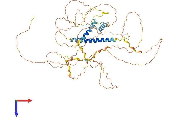 FAM149B1 Protein (AA 1-578) (His tag)