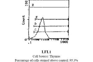Mouse anti CD11a (Integrin aL-chain) WT. (ITGAL Antikörper  (Biotin))