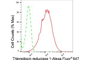 Flow cytometric analysis of thioredoxin reductase 1 expression in HepG2 cells using thioredoxin reductase 1 antibody (ABIN7800544), 1:2,000). (Rekombinanter TXNRD1 Antikörper)