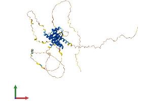 Protein Structure (PS) image for Cleavage and Polyadenylation Specific Factor 7, 59kDa (CPSF7) (AA 1-471) protein (His tag) (ABIN7546694)