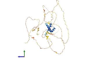 Protein Structure (PS) image for Iroquois Homeobox Protein 2 (IRX2) (AA 1-471) protein (His tag) (ABIN7548634)