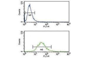 Flow Cytometry (FACS) image for anti-HLA Class I Histocompatibility Antigen, alpha Chain G (HLAG) (AA 62-89) antibody (ABIN3031240)