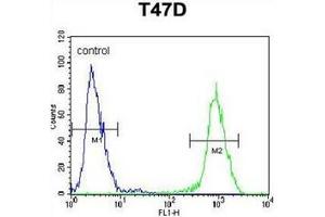 Flow cytometric analysis of T47D cells using ARHGAP19 Antibody (Center) Cat.