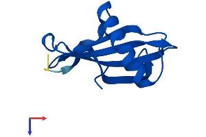 CSTB Protein (AA 1-98) (His tag)
