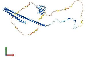 Protein Structure (PS) image for ABI Family, Member 3 (ABI3) (AA 1-367) protein (His tag) (ABIN7559026)