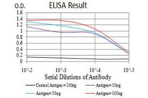 Black line: Control Antigen (100 ng),Purple line: Antigen (10 ng), Blue line: Antigen (50 ng), Red line:Antigen (100 ng) (Phospholipase C gamma 1 Antikörper  (AA 1192-1291))