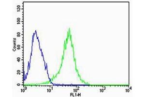 Flow cytometric analysis of HepG2 cells using REG3A Antibody (C-term)(green, Cat(ABIN1944738 and ABIN2838562)) compared to an isotype control of rabbit IgG(blue). (REG3A Antikörper  (C-Term))