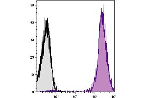 Human peripheral blood lymphocytes were stained with Mouse Anti-Human CD45-PE/CY5. (CD45 Antikörper)