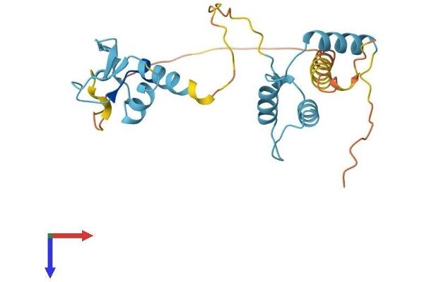 SAP30 Protein (AA 1-220) (His tag)