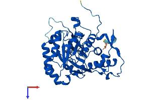 GMPR2 Protein (AA 1-348) (His tag)