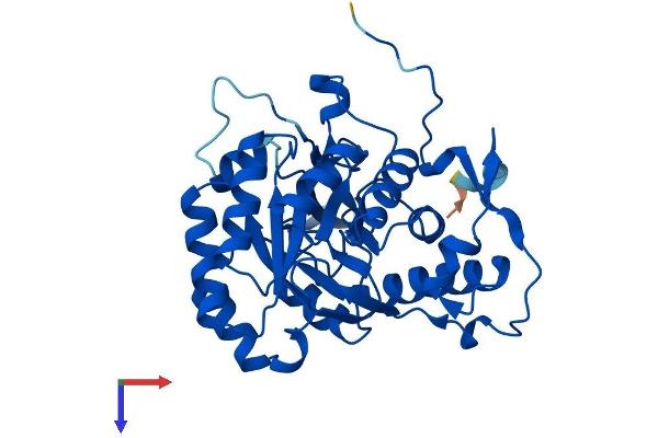 GMPR2 Protein (AA 1-348) (His tag)