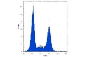 TLR9 antibody flow cytometric analysis of Ramos cells (right histogram) compared to a negative control (left histogram). (TLR9 Antikörper  (AA 842-870))