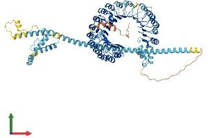 Protein Structure (PS) image for F-Box and Leucine-Rich Repeat Protein 13 (FBXL13) (AA 1-790) protein (His tag) (ABIN7559269)