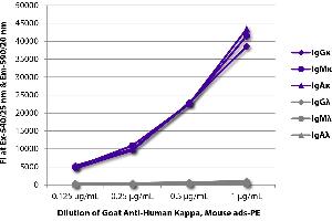 FLISA plate was coated with purified human IgGκ, IgMκ, IgAκ, IgGλ, IgMλ, and IgAλ. (Igk Antikörper  (PE))