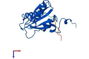CDA Protein (AA 1-146) (His tag)